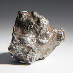 Genuine Natural Sikhote Alin Meteorite // 61g