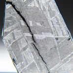 Genuine Natural Muonionalusta Meteorite Slice // 5.1 g