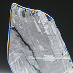 Genuine Natural Muonionalusta Meteorite Slice // 5.7 g