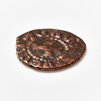 15 Medieval Armenian coins // Time of the Crusades