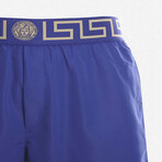 Swim Shorts With Logo // Blue + Gold (34)
