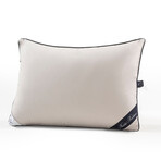 Brooks Brothers Goose Down Pillow (Queen; 20" x 30")