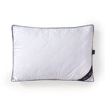 Brooks Brothers Climate Pillow (Queen; 20" x 30")