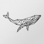 Whale