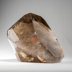 Genuine Polished Smokey Quartz Point