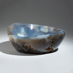 Genuine Polished Orbicular Jasper Bowl