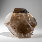 Genuine Polished Smokey Quartz Point