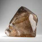 Genuine Polished Smokey Quartz Point
