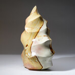 Genuine Polished Polychrome Jasper Freeform