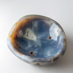 Genuine Polished Orbicular Jasper Bowl