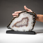 Genuine Polished Banded Agate Slice on Custom Wooden Stand