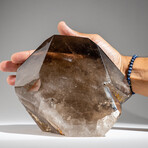 Genuine Polished Smokey Quartz Point