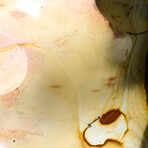 Genuine Polished Polychrome Jasper Freeform