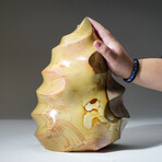 Genuine Polished Polychrome Jasper Freeform