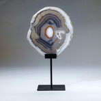 Genuine Polished Banded Agate Slice on Custom Metal Stand