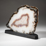 Genuine Polished Banded Agate Slice on Custom Wooden Stand