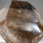 Genuine Polished Smokey Quartz Point