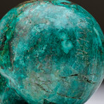 Genuine Polished Chrysocolla Skull