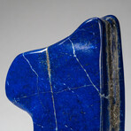 Genuine Polished Lapis Lazuli Freeform I