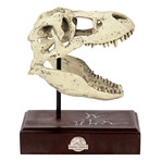 Jeff Goldblum // Autographed Jurassic World Tyrannosaurus Rex Resin Replica Skull