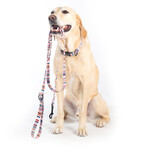 Pendleton Classics Adventure Leash (Falcon Cove)