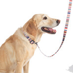 Pendleton Classics Adventure Leash (Falcon Cove)