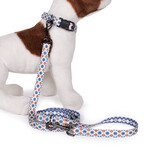 Pendleton Classics Adventure Leash (Falcon Cove)
