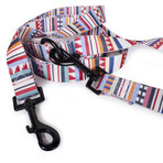 Pendleton Classics Adventure Leash (Falcon Cove)