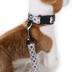 Pendleton Classics Adventure Leash (Falcon Cove)