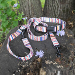 Pendleton Classics Adventure Leash (Falcon Cove)