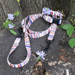 Pendleton Classics Adventure Leash (Falcon Cove)