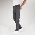 Sebastian 5 Pocket Chino Pants // Gray (34WX32L)