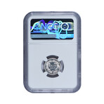 1884 Seated Liberty Dime // NGC Certified PF64 CAMEO // Deluxe Collector's Pouch