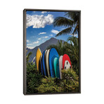 Hang Ten by Jonathan Ross Photography (26"H x 18"W x 0.75"D)