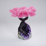 Genuine Rose Quartz Clustered Gemstone Tree on Amethyst matrix // The Love Tree