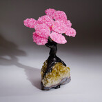 Rose Quartz Clustered Gemstone Tree + Citrine Matrix // The Comfort Tree // 3.7lb