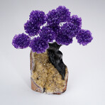 Custom Genuine Amethyst Clustered Gemstone Tree on Citrine Matrix // The Empowerment Tree // 4.1lb