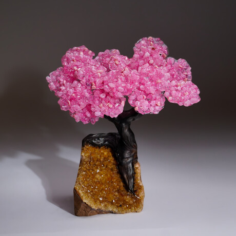 Rose Quartz Clustered Gemstone Tree + Citrine Matrix // The Comfort Tree // 4.1lb