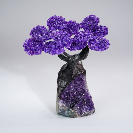 Amethyst Clustered Gemstone Tree + Amethyst Matrix // The Protection Tree // 3lb