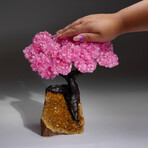 Rose Quartz Clustered Gemstone Tree + Citrine Matrix // The Comfort Tree // 4.1lb