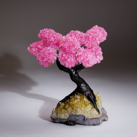 Rose Quartz Clustered Gemstone Tree + Citrine Matrix // The Comfort Tree // 3.7lb