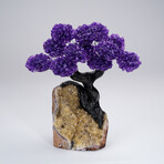 Custom Genuine Amethyst Clustered Gemstone Tree on Citrine Matrix // The Empowerment Tree // 4.1lb