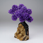 Genuine Amethyst Clustered Gemstone Tree on Citrine Matrix // The Empowerment Tree // 4.1lb