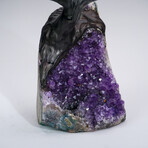 Amethyst Clustered Gemstone Tree + Amethyst Matrix // The Protection Tree // 3lb