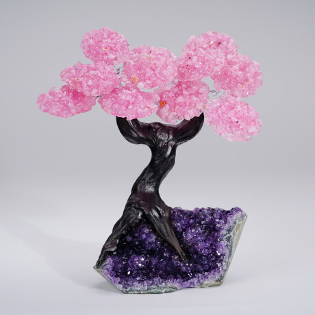 Genuine Rose Quartz Clustered Gemstone Tree on Amethyst matrix // The Love Tree // 2.86lb