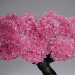 Genuine Rose Quartz Clustered Gemstone Tree on Rose Quartz matrix // The Love Tree