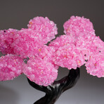 Rose Quartz Clustered Gemstone Tree + Citrine Matrix // The Comfort Tree // 3.15lb