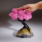Rose Quartz Clustered Gemstone Tree + Citrine Matrix // The Comfort Tree // 3.7lb