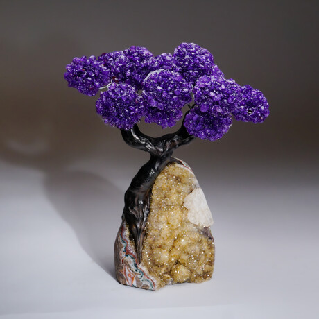 Custom Genuine Amethyst Clustered Gemstone Tree on Citrine Matrix // The Empowerment Tree // 4.4lb