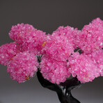 Rose Quartz Clustered Gemstone Tree + Citrine Matrix // The Comfort Tree // 3.7lb